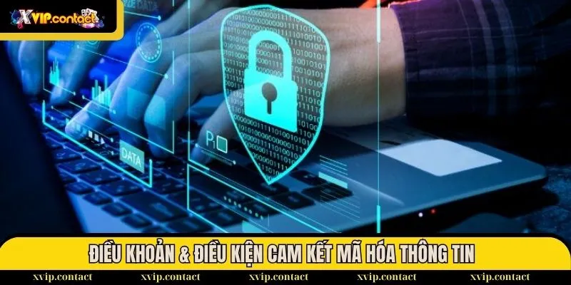 Điều Khoản & Điều Kiện 2 Điều khoản & điều kiện cam kết mã hóa thông tin chặt chẽ