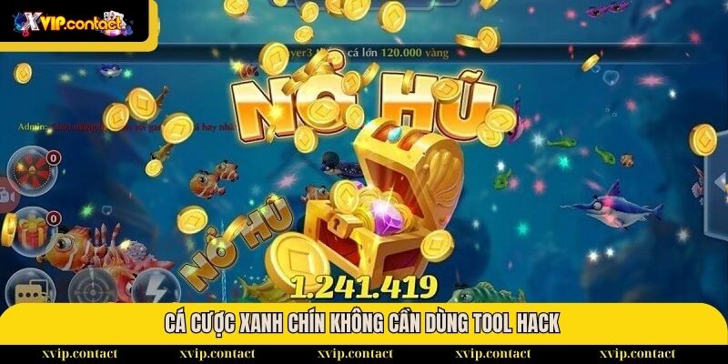 Sự thật về các tool dự đoán Nổ Hũ - Thông tin cần nắm 3 Cá cược xanh chín không cần dùng tool hack