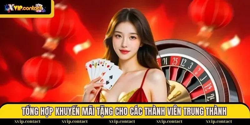 Tổng Hợp Khuyến Mãi 3 Tổng hợp khuyến mãi dành tặng cho các thành viên trung thành